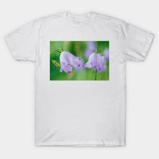 Campanula rotundifolia  Common harebell T-Shirt